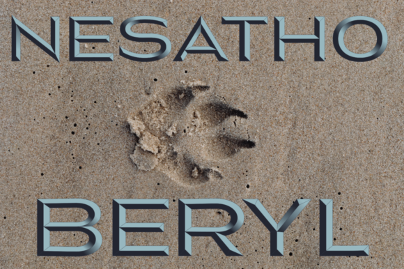 Nesatho-Beryl: A Color Font for Bold, Modern Brands